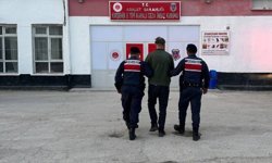 Kırşehir'de köpeği tüfekle öldüren şahıs tutuklandı
