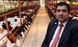 Milletvekili İlhan’dan Besicilere Yönelik Operasyona Tepki: “Sorun Üreticide Değil, Yanlış Politikalarda!”