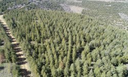 Kırşehir Bozkırı 2,5 Milyon Yeni Nefes Kazandı