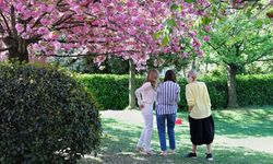 Kırşehir'de Normal Mevsim Sıcakları Üzerinde Gün Yaşanacak