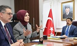 Vali Demiryürek, Sosyal Risk Haritaları Toplantısına Katıldı