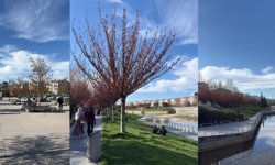 Kırşehir’de Bahar Hareketliliği Kent Park Dolup Taşıyor