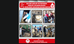 Kırşehir’de Hayvan Sağlığı ve Refahı İçin Yoğun Çalışma