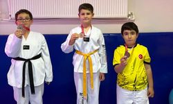 Kaman’da miniklerden Taekwondo şöleni