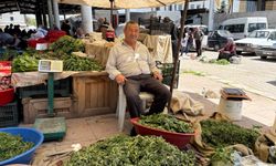 Kırşehir Dağlarının Şifalı Otları Tezgâhta: Hangi Ot Yılda Bir Kez Mutlaka Yenmeli?