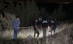 Tarlada boğazı kesik erkek ceseti bulundu