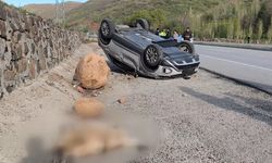 Koyuna Çarpan Araç Takla Attı: 3 Yaralı