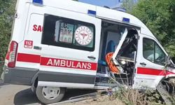 İçinde Hasta Taşıyan Ambulans Kontrolden Çıktı: 3 Yaralı