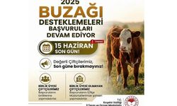 Kırşehir’de Buzağı Desteklemesi İçin Geri Sayım Başladı