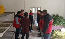 Kırşehir’de İpek Böceği Yetiştiriciliğine Yakın Takip