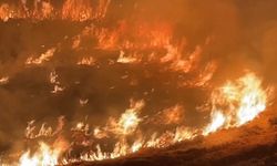 Jandarma Suçüstü: 300 Dönümlük Anız Yandı 1 Şüpheli Gözaltında
