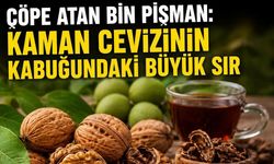 Çöpe Atan Bin Pişman: Kaman Cevizinin Kabuğundaki Büyük Sır
