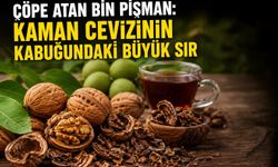 Çöpe Atan Bin Pişman: Kaman Cevizinin Kabuğundaki Büyük Sır