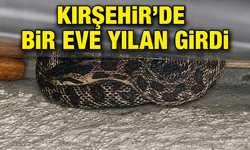 Kırşehir’de Eve Giren Yılanı Çıkarmak İçin Bakın Ne Yaptı