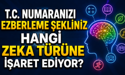 Kırşehir’de Binlerce Kişinin Cevabı Farklı: Siz Hangi Gruba Giriyorsunuz?
