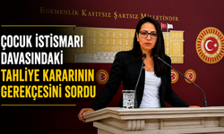 TİP Sözcüsü Kadıgil’den Tahliye Kararına İlişkin Soru Önergesi