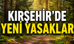 Kırşehir Valiliği'nden Açıklama: Orman ve Piknik Alanlarına Giriş Yasaklandı