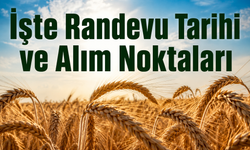 TMO Kırşehir'de Hububat Alım Randevuları Başlıyor!