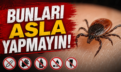 Kırşehirliler Dikkat! Sağlık Bakanlığı’ndan Kene Uyarısı