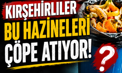 Kırşehirliler Bu Hazineleri Her Gün Çöpe Atıyor