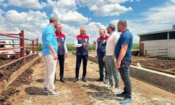 Kırşehir’de Hayvancılık İşletmesine Ziyaret