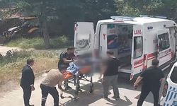 Kamyonun Çarptığı 87 Yaşındaki Kadın Öldü
