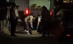 Dehşet: Kadın Başına Taşla Vurularak Öldürüldü