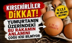 Kırşehirliler Dikkat! Yumurtanın Üzerindeki Bu Rakamın Anlamını Çoğu Kişi Bilmiyor