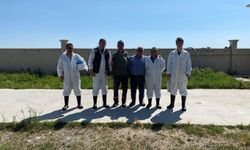 Kırşehir'de Hayvan Sağlığı ve Refahı İçin Ekipler Sahada