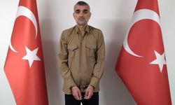 DEAŞ’ın Türkiye yapılanmasına ağır darbe
