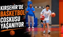 Potada gelecek şekilleniyor