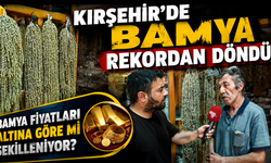 Kırşehir'de Bamya Rekordan Döndü