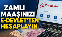 Kırşehir'deki Emekliler Dikkat! Zamlı Maaşınızı e-Devlet'ten Böyle Hesaplayabilirsiniz