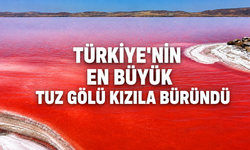 Kırmızıya Dönen Tuz Gölü Görenleri Şaşırttı! İşte Nedeni