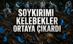 Kelebeklerin Anlattığı Soykırım: Srebrenitsa'nın Sessiz Tanıkları