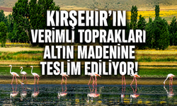 Kırşehir'de Altın Uğruna 1262 Hektarlık Doğa ve Tarım Alanı Yok Edilecek