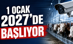 Kırşehir'de Kesimhanelerde Yeni Dönem!