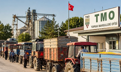Kırşehir'de TMO Alımları İçin Üreticilere Uyarı!