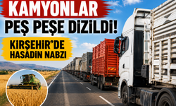 Kamyonlar Peş Peşe Dizildi! Kırşehir'de Hasadın Nabzı Kuruağıl'da Atıyor