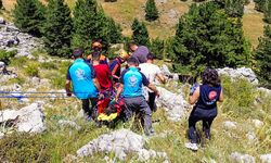 Kekik Toplarken Kayalıklardan Düştü: Helikopterle Kurtarıldı