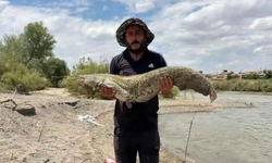 İki kardeşin yakaladıkları dev balık sosyal medyada gündem oldu!