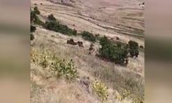 Traktör Römorku Devrildi: Piknik Yolunda Can Pazarı:1 Ölü 23 Yaralı