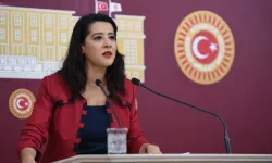 EMEP'li Karaca: "İliç'in Hesabı Sorulmadan Bu Dosya Kapanmaz"