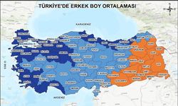 Kırşehir’de erkeklerin ortalama boyu ne kadar?
