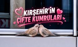 Kırşehir'de "Çifte Kumrular" Deyimi Gerçek Oldu