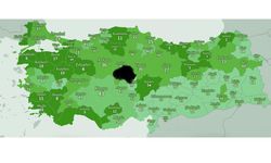 Liste açıklandı… Çocuk Yetiştirmede Kırşehir Kaçıncı Sırada?