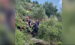 Korkunç Kazanın Ardından Gizem! Bir Kişi Kayıp