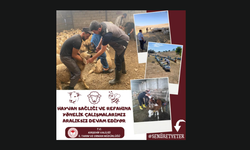 Kırşehir’de Hayvan Sağlığı ve Refahı İçin Saha Çalışmaları Sürüyor