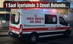 1 Saat İçerisinde 3 Ceset Bulundu…
