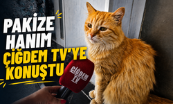 Pakize Hanım’dan Kırşehirlilere Yaz Çağrısı